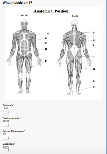 Human Body Image for a PE SLO Assessment